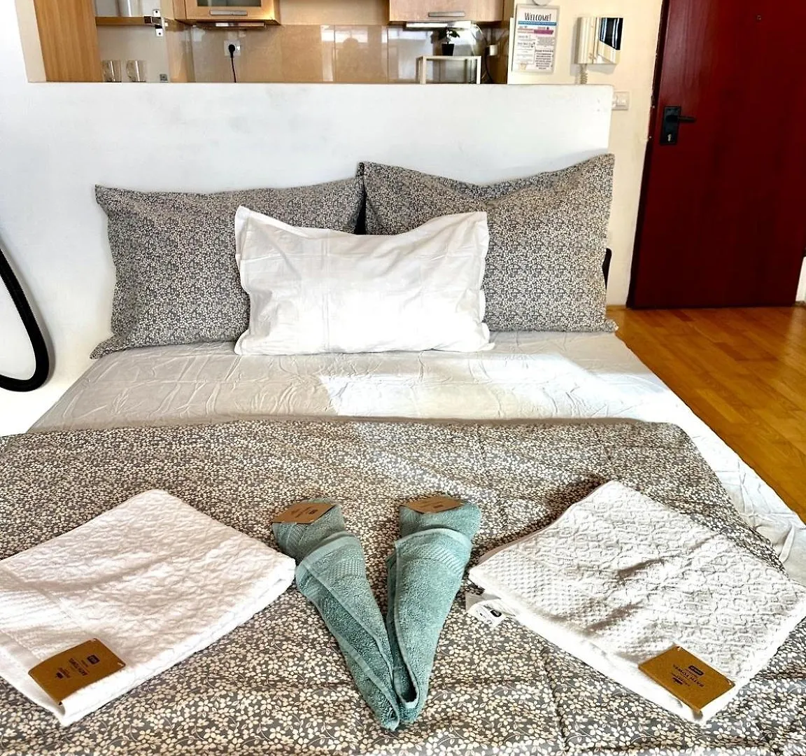 City Center Apartment With Balcony Budapest